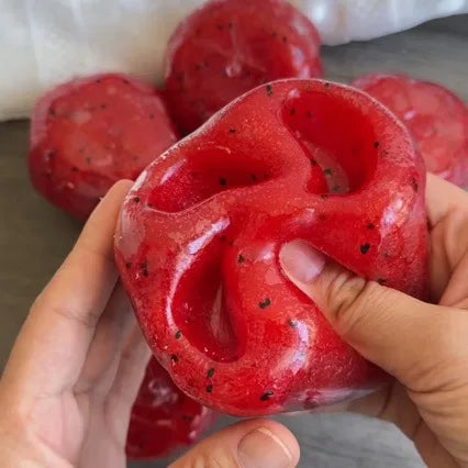 Watermelon Slushy Squishy Toy